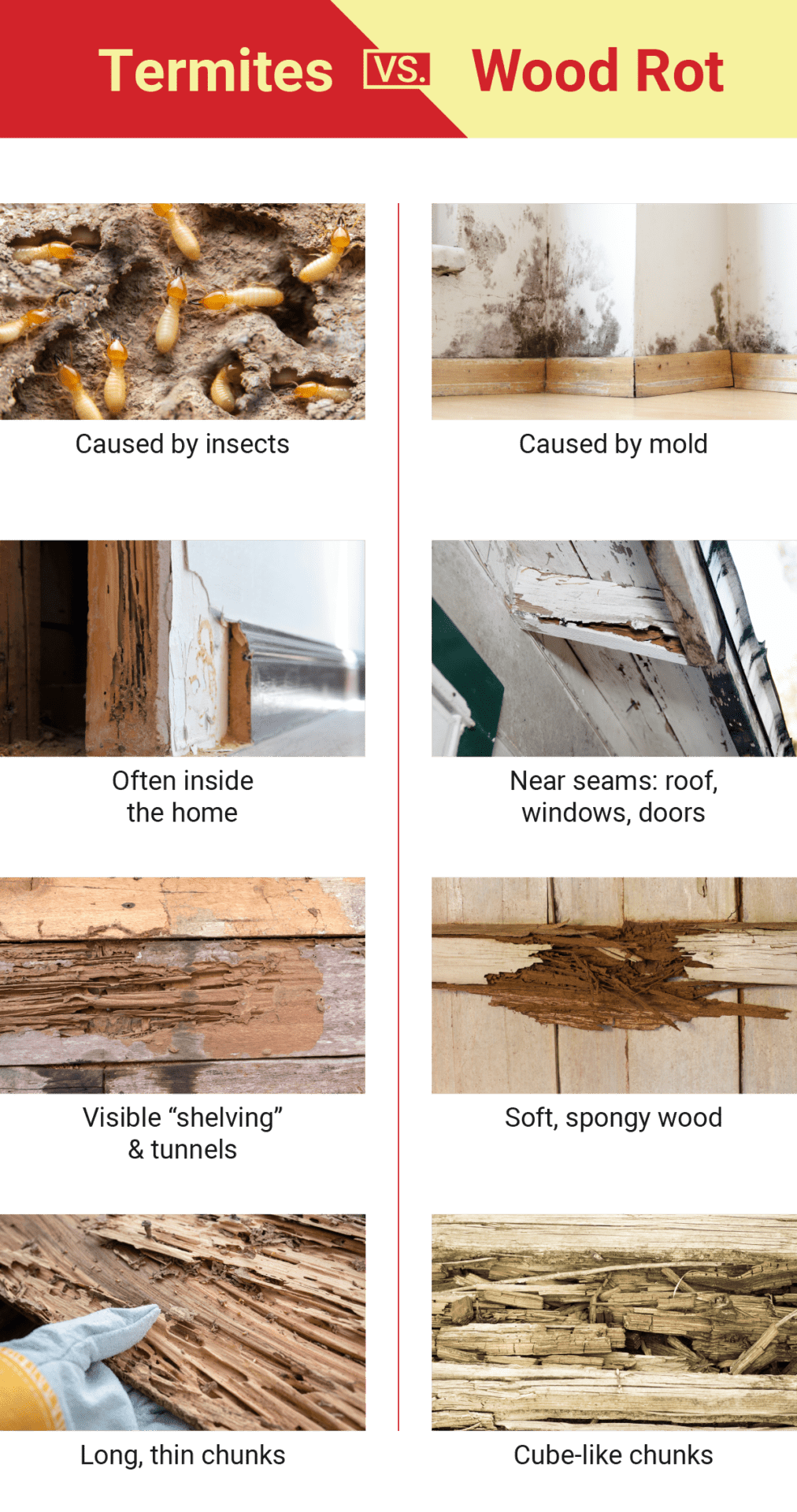 Tratamento de Madeiras